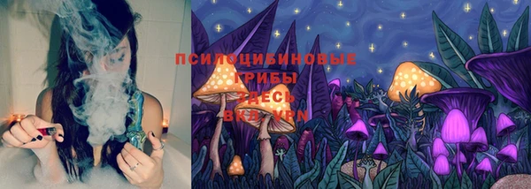 мет Аркадак