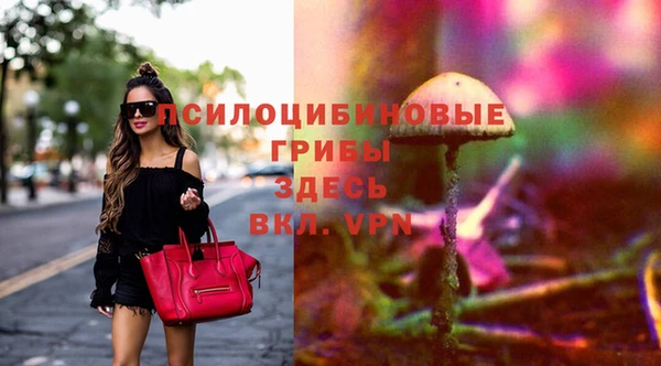 стафф Армянск