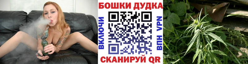 Бошки марихуана SATIVA & INDICA  где найти наркотики  Хилок 